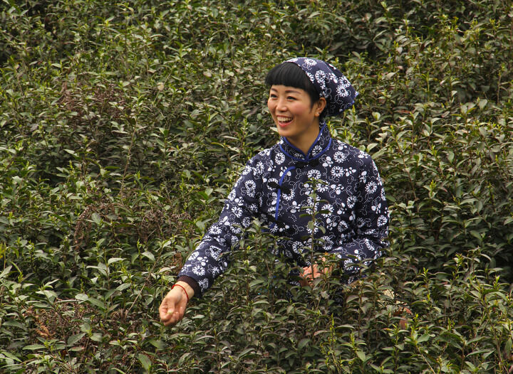 免费在线观看1